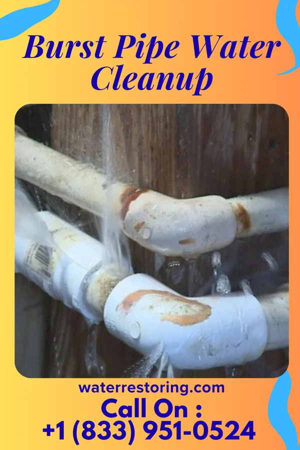 Burst Pipe Water Cleanup in Ypsilanti, MI