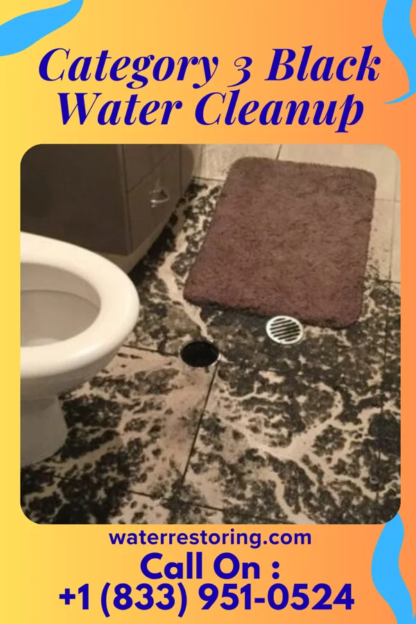 Category 3 Black Water Cleanup in Ypsilanti, MI