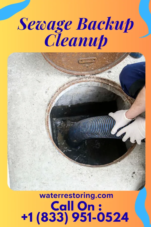 Sewage Backup Cleanup in Ypsilanti, MI