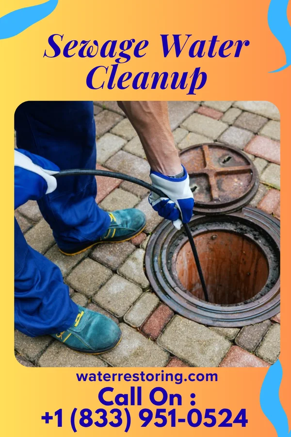 Sewage Water Cleanup in Ypsilanti, MI